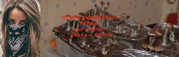 соль ск Козельск
