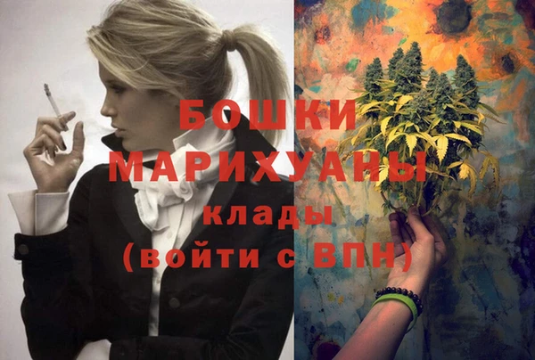 Альфа ПВП Корсаков