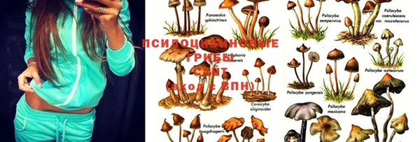 мяу мяу мука Краснотурьинск