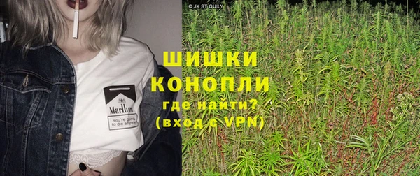 Альфа ПВП Корсаков