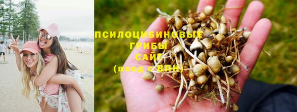 шишки Козловка